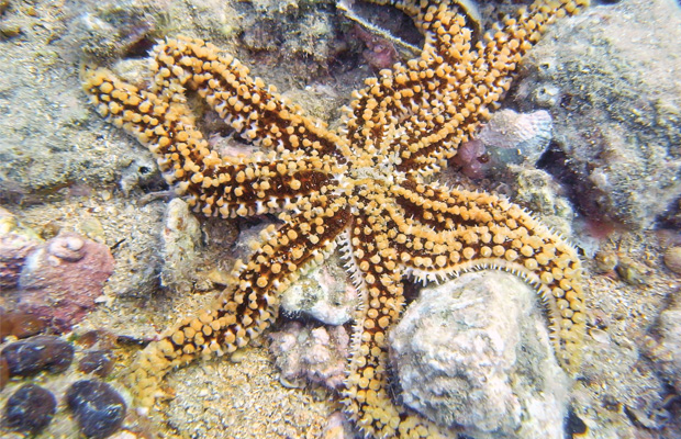 mavisehir-dergisi-yine-gururlandik2