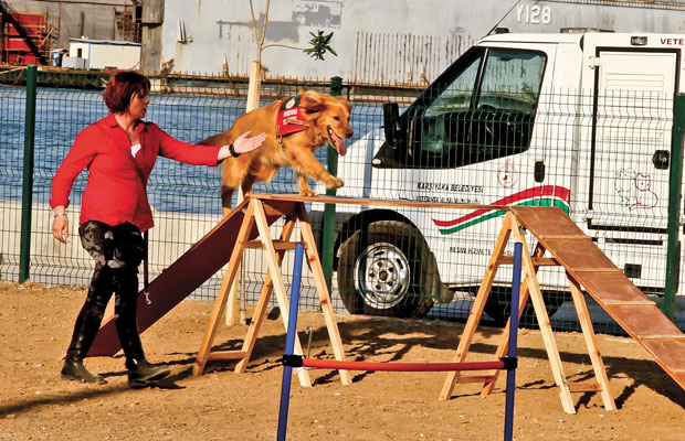 mavisehir-dergisi-can-dostlar3