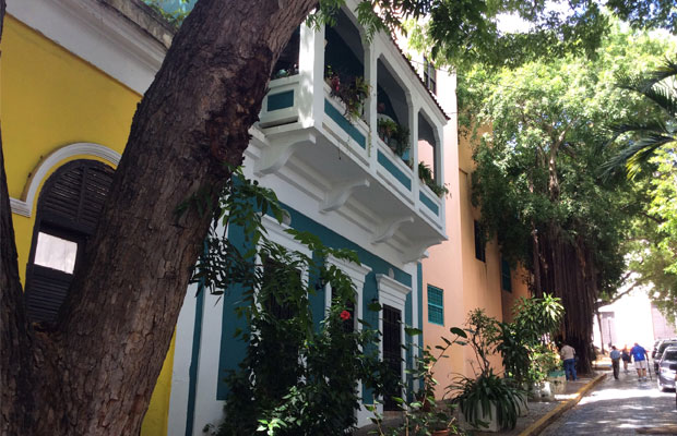 mavisehir-dergisi-incibijan5