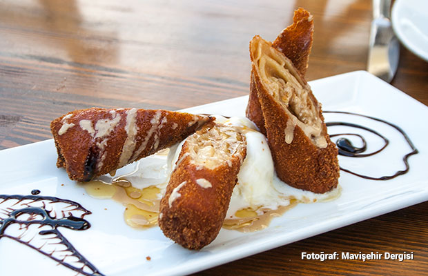 mavisehir-dergisi-filos2