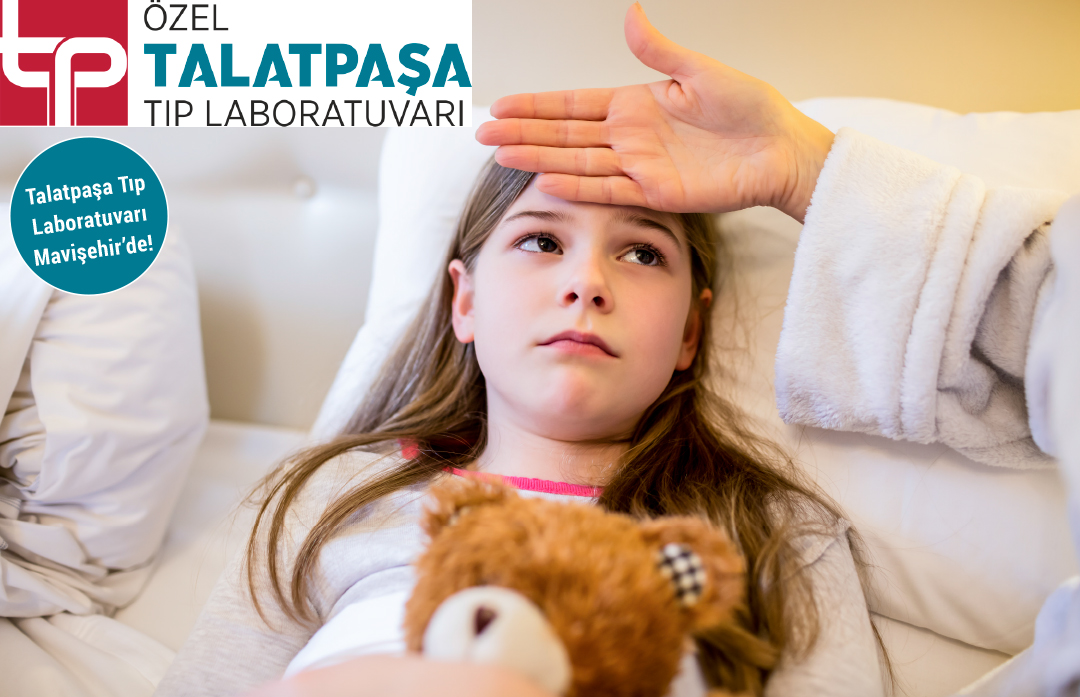 talatpasa2