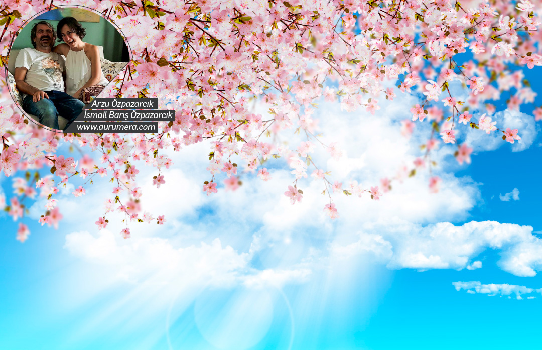 Alerjiniz varsa, kurtulmaya Hazır mısınız?